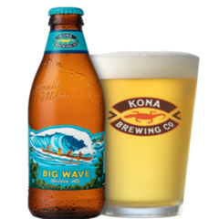 Kona's Big Wave Golden Ale Beer 12oz Bottle Pack