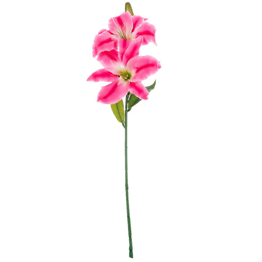 Stragaza Pink Lily (1 Stem)